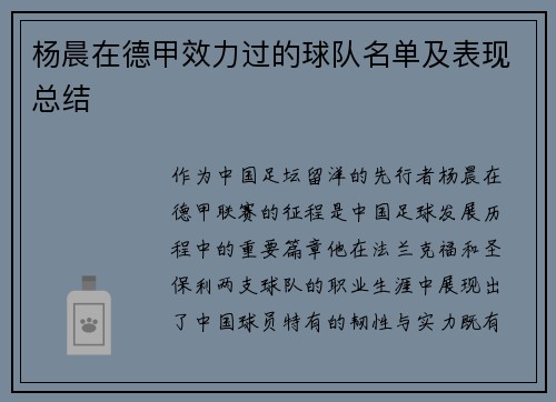 杨晨在德甲效力过的球队名单及表现总结